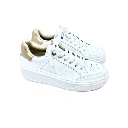 Tenis
