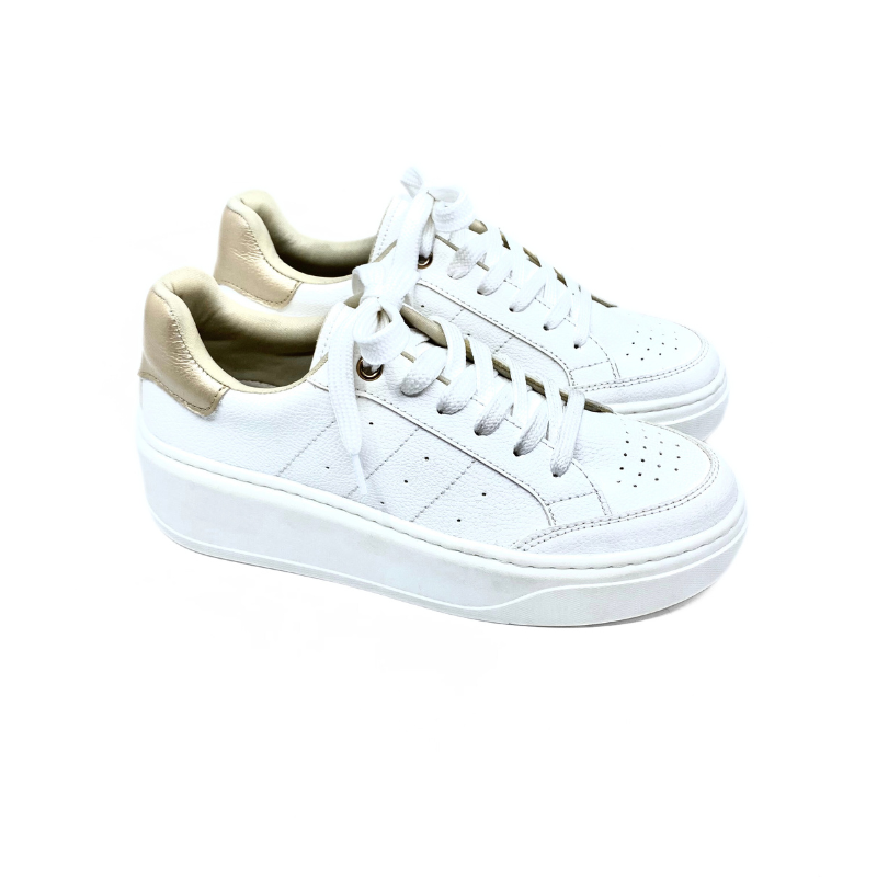 Tenis